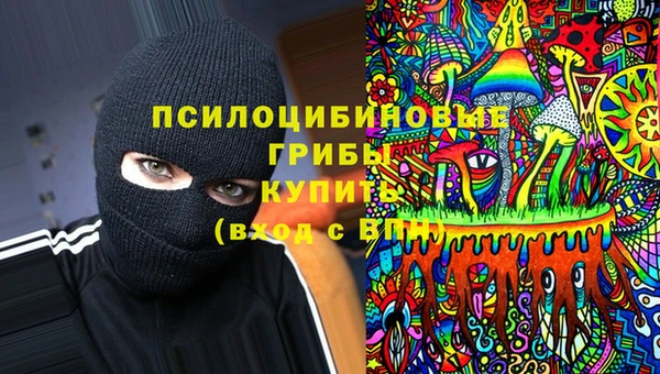 героин Алексин