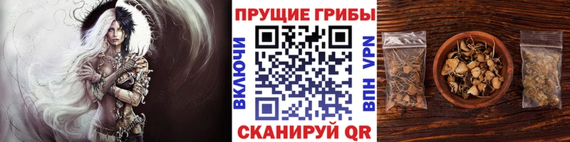 Галлюциногенные грибы прущие грибы Новокубанск